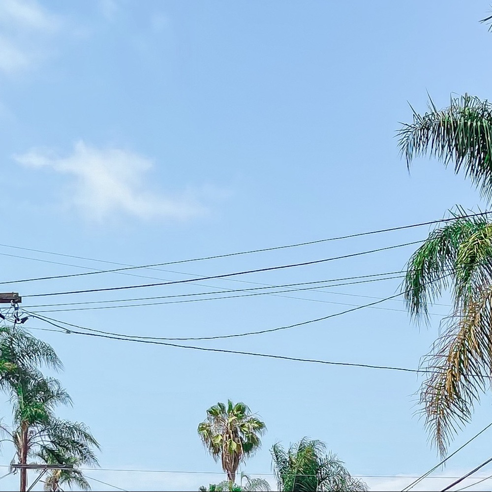 Meet your Posher, Ana